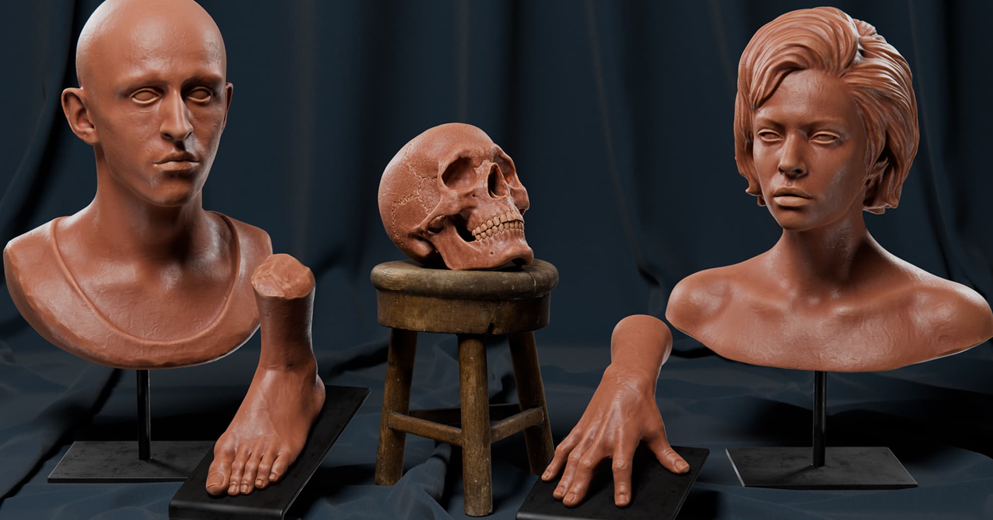 Anatomia Humana 1.0
