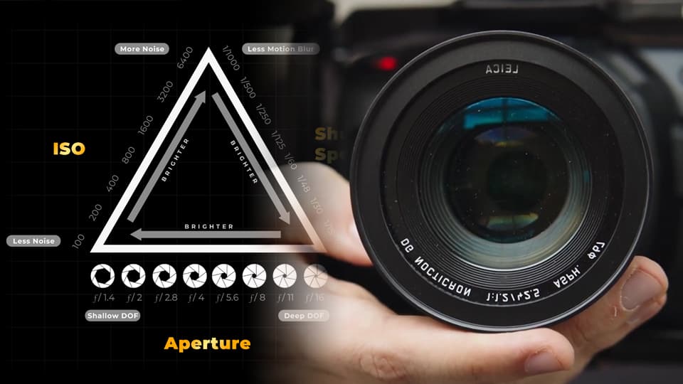 Lighting essentials